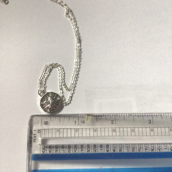 Sand dollar pendant with necklace - Picture 8 of 8